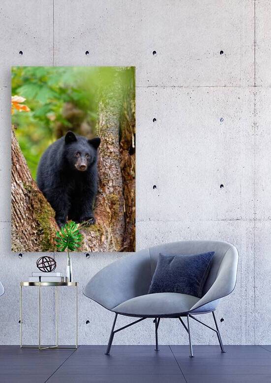 Inquisitive Play  by Heather Bee Photography