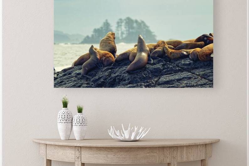 West Coast Vibes by Heather Bee Photography