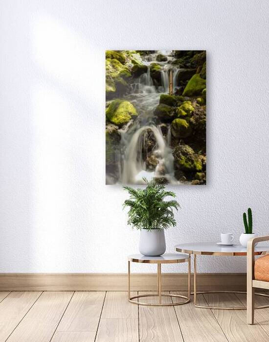 Flow - Lupin Falls by Heather Bee Photography