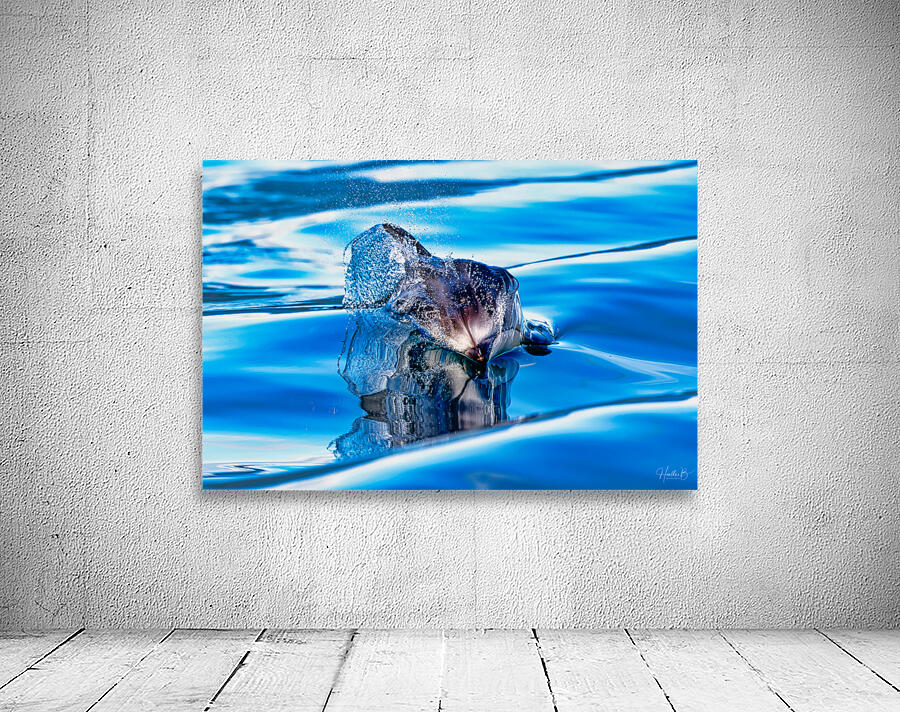 Reflections  Wall Preview