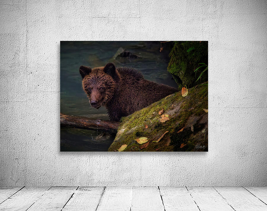 Life & Death in the Shadows Wall Preview