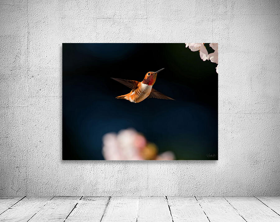 Hovercraft Wall Preview