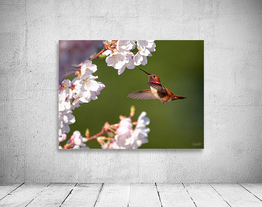 Afternoon Delight Wall Preview