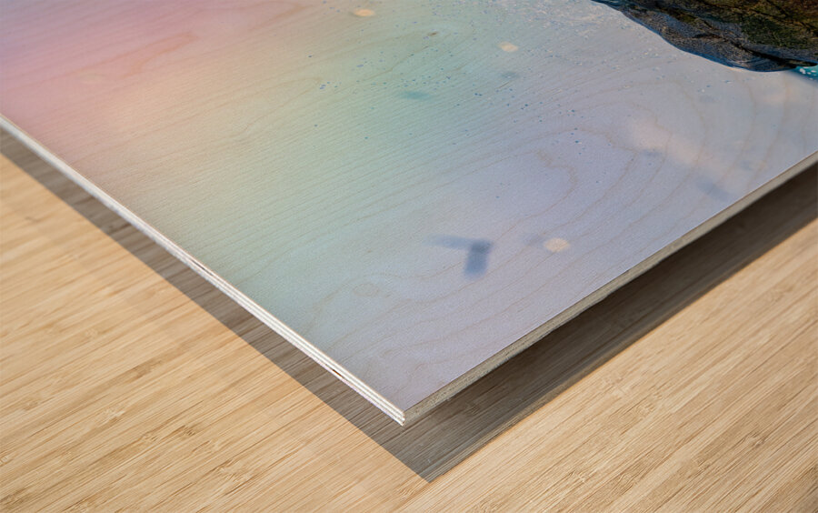 Rainbows End Wood print