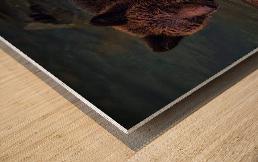 Life & Death in the Shadows Wood print