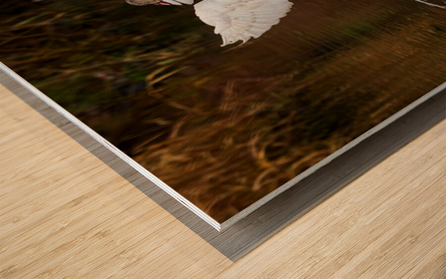 The Conductor Wood print