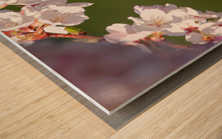 Afternoon Delight Wood print