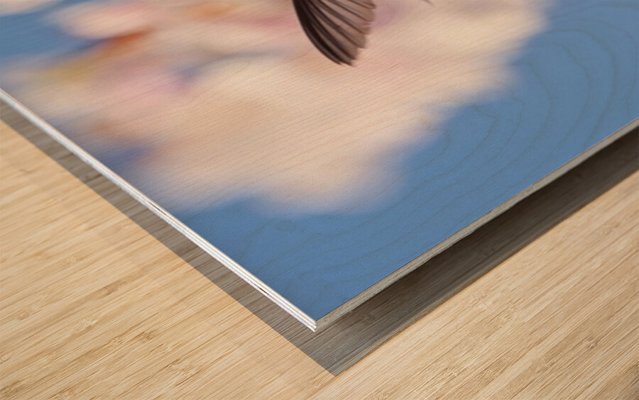 Regal Defence Wood print