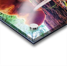 Forest Mushrooms Acrylic print