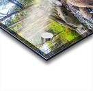 River Running under Trestle Acrylic print