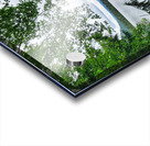 Tree Framed Nature  Acrylic print