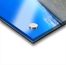 Seashell Acrylic print