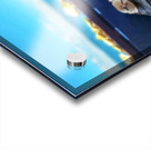 Ocean Artists Acrylic print