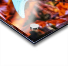 Forest Mushrooms Acrylic print