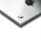 Winter Island Sproat Lake Vancouver Island Acrylic print