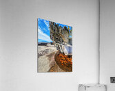 Ocean Leaves Acrylic Print