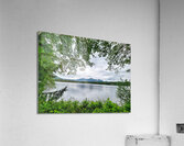 Tree Framed Nature  Acrylic Print