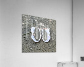 Seashell Angel Wings Tofino Acrylic Print