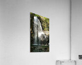 Weiner Falls Port Alberni Acrylic Print