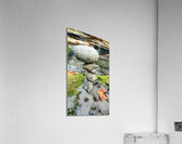 Balancing Rocks Acrylic Print