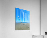 Beach Trees Acrylic Print