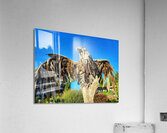 Driftwood Eagle Acrylic Print