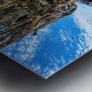 Ocean Leaves Metal print