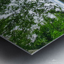 Tree Framed Nature  Metal print