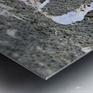 Seashell Angel Wings Tofino Metal print