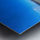 Seashell Metal print