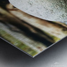 Balancing Rocks Metal print