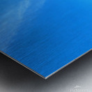 Beach Trees Metal print