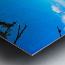 Barkley Sound Ocean Metal print