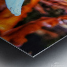 Forest Mushrooms Metal print