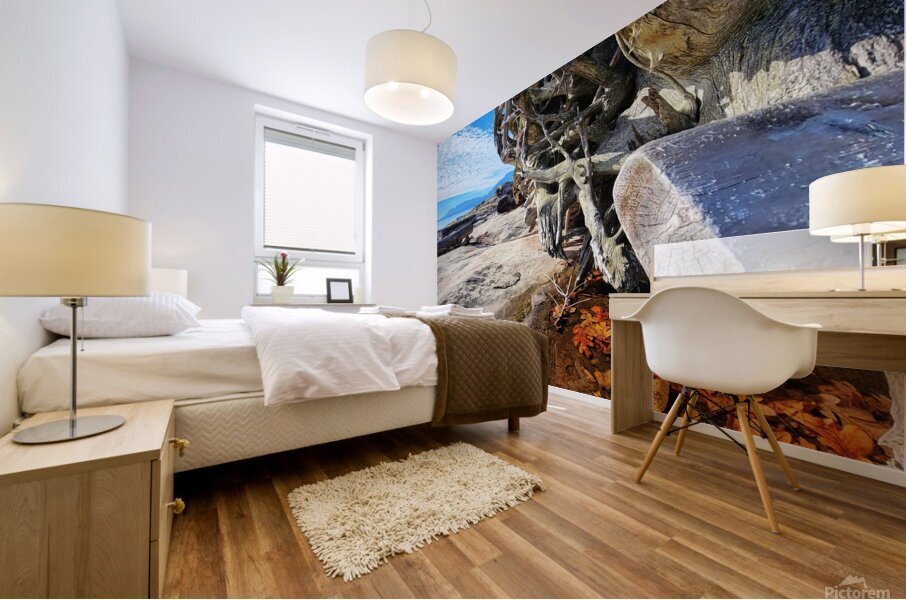 Ocean Leaves Mural print