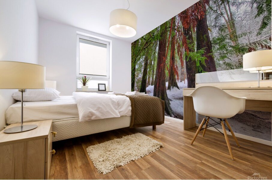 Winter Colors Mural print