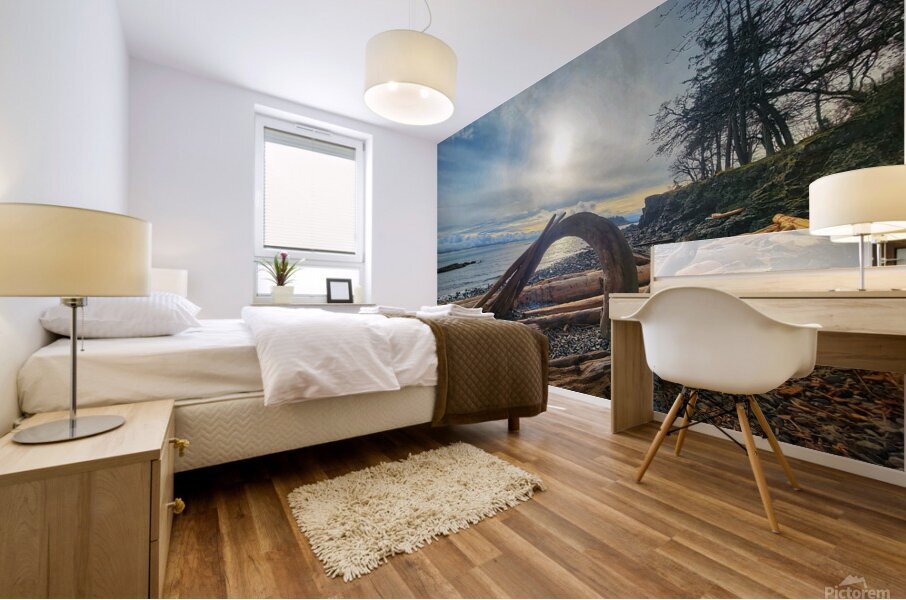 Driftwood  Mural print