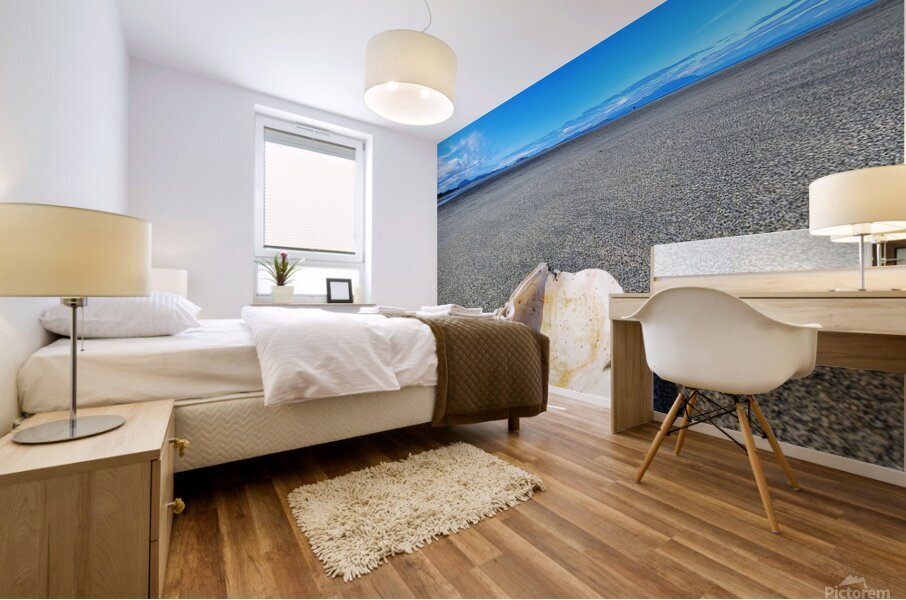 Seashell Mural print