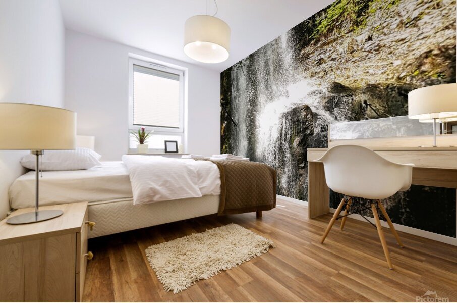 Weiner Falls Port Alberni Mural print