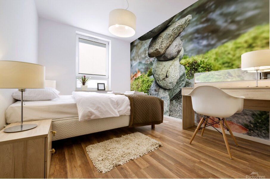 Balancing Rocks Mural print