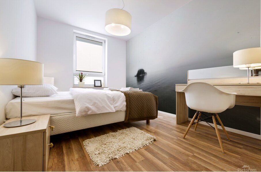 Winter Island Sproat Lake Vancouver Island Mural print