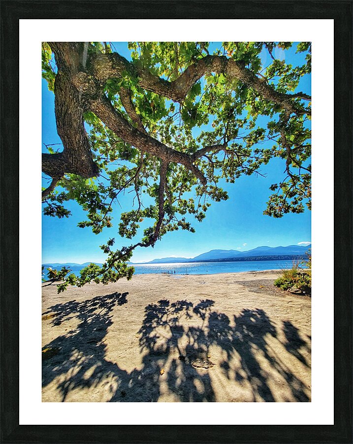 Tree and Shadow - Full Color Picture Frame print
