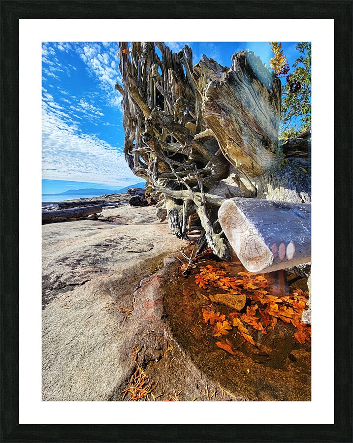 Ocean Leaves Picture Frame print