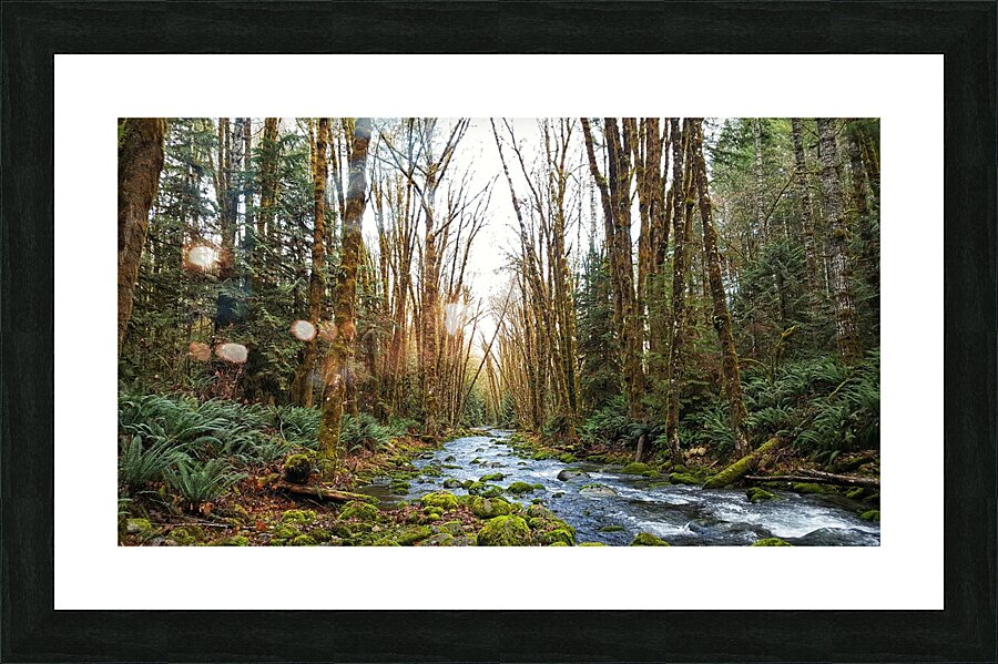 River and Forest Picture Frame print