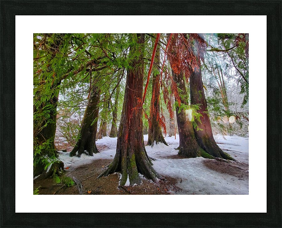 Winter Colors Picture Frame print