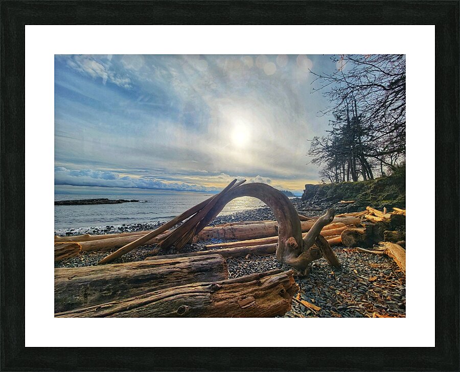 Driftwood  Picture Frame print