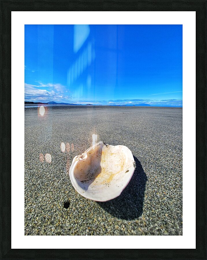 Seashell Picture Frame print