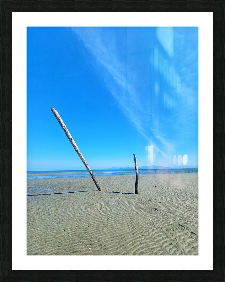 Beach Trees Picture Frame print