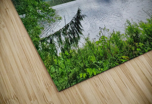 Tree Framed Nature  Adam Copp puzzle