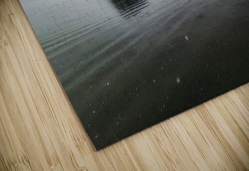 Winter Island Sproat Lake Vancouver Island Adam Copp puzzle